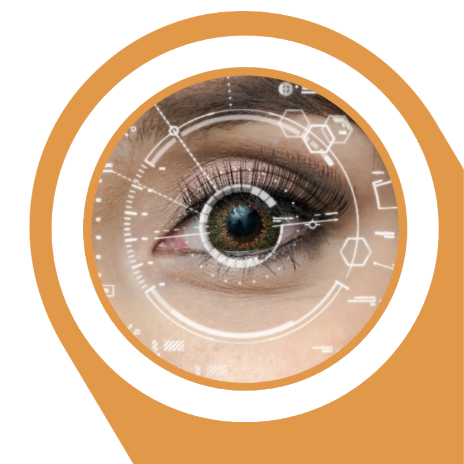 Compliance Programs